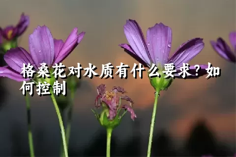 格桑花对水质有什么要求？如何控制