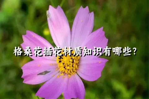 格桑花插花材质知识有哪些？