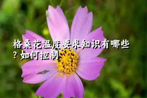 格桑花温度要求知识有哪些？如何控制