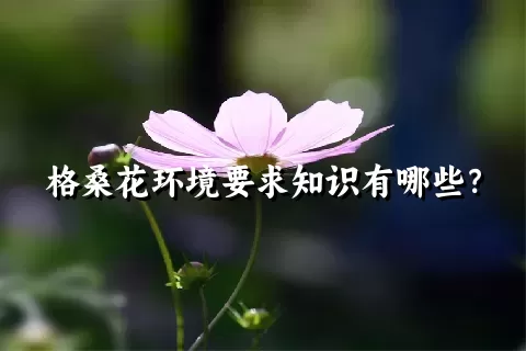 格桑花环境要求知识有哪些？