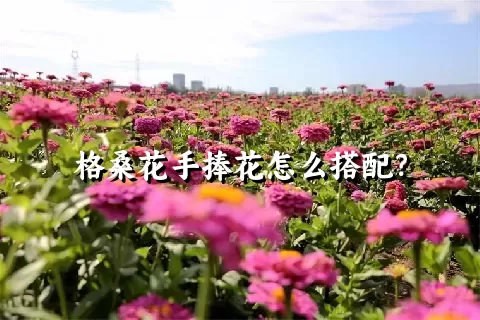 格桑花手捧花怎么搭配？