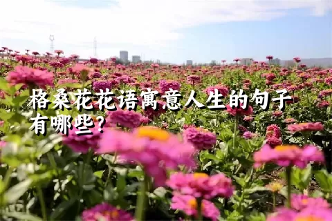 格桑花花语寓意人生的句子有哪些？