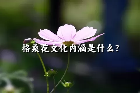 格桑花文化内涵是什么？