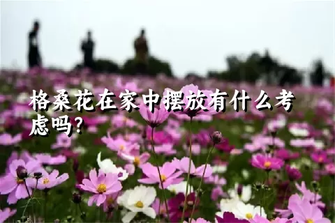 格桑花在家中摆放有什么考虑吗？