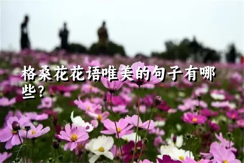 格桑花花语唯美的句子有哪些？