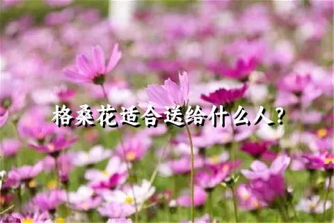 格桑花适合送给什么人？