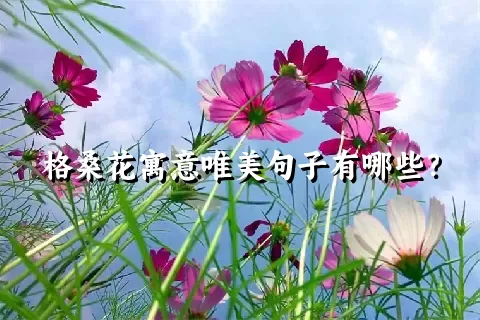 格桑花寓意唯美句子有哪些？