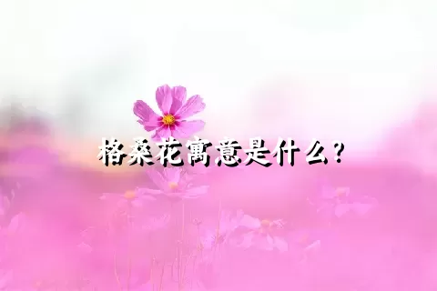 格桑花寓意是什么？