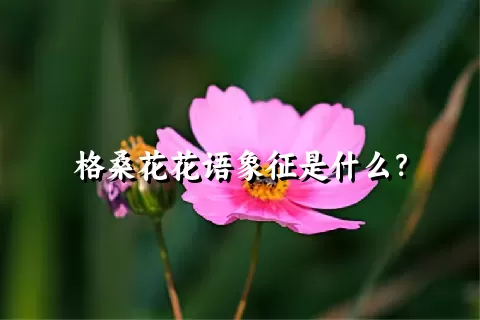 格桑花花语象征是什么？