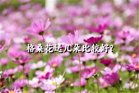 格桑花送几朵比较好？