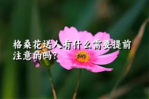 格桑花送人有什么需要提前注意的吗？