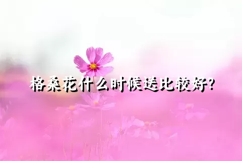 格桑花什么时候送比较好？