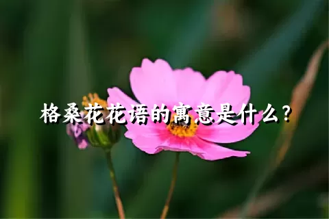 格桑花花语的寓意是什么？