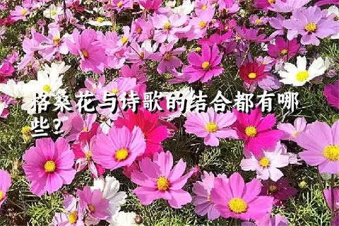 格桑花与诗歌的结合都有哪些？