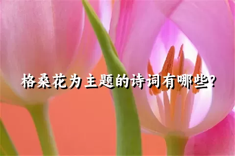 格桑花为主题的诗词有哪些？