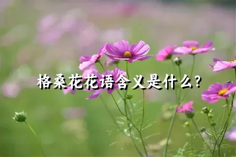 格桑花花语含义是什么？