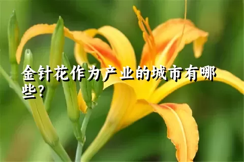 金针花作为产业的城市有哪些？