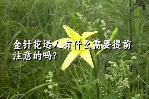 金针花送人有什么需要提前注意的吗？