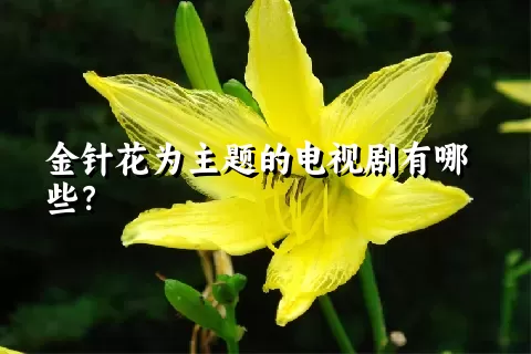 金针花为主题的电视剧有哪些？