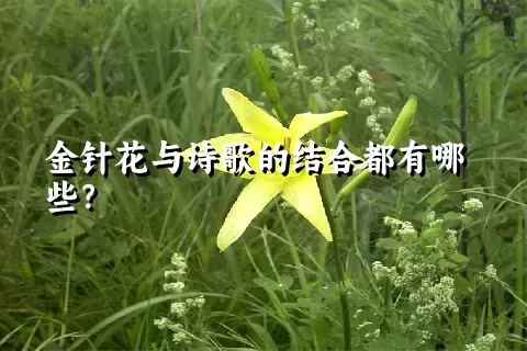 金针花与诗歌的结合都有哪些？