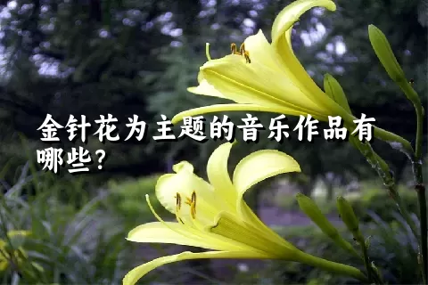 金针花为主题的音乐作品有哪些？