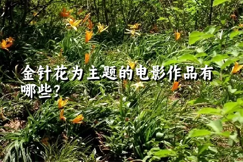 金针花为主题的电影作品有哪些？