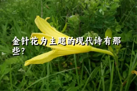 金针花为主题的现代诗有那些？