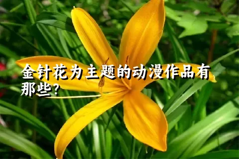 金针花为主题的动漫作品有那些？