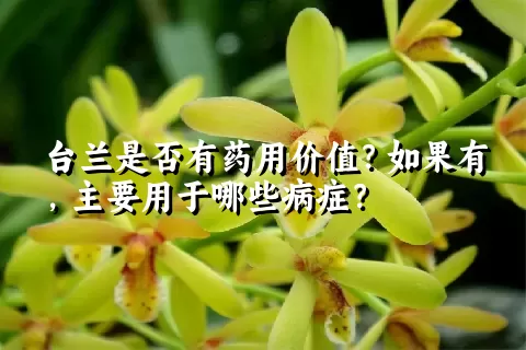 台兰是否有药用价值？如果有，主要用于哪些病症？