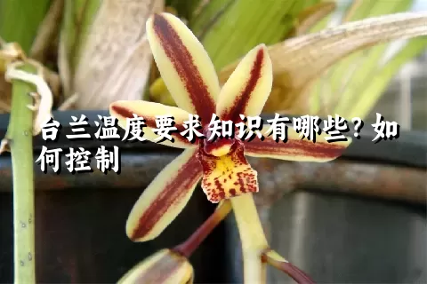 台兰温度要求知识有哪些？如何控制