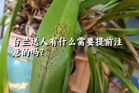 台兰送人有什么需要提前注意的吗？