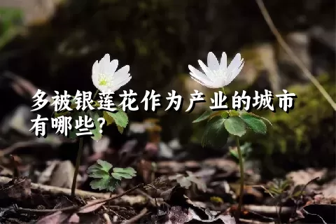 多被银莲花作为产业的城市有哪些？