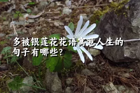 多被银莲花花语寓意人生的句子有哪些？