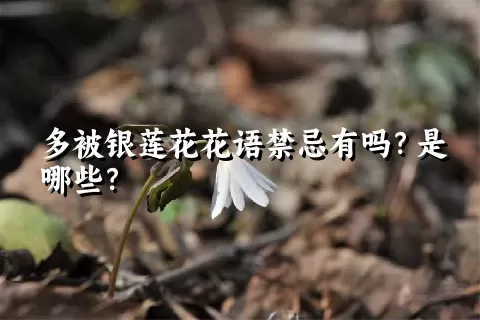 多被银莲花花语禁忌有吗？是哪些？