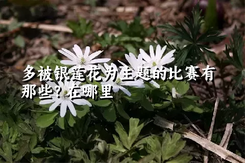 多被银莲花为主题的比赛有那些？在哪里