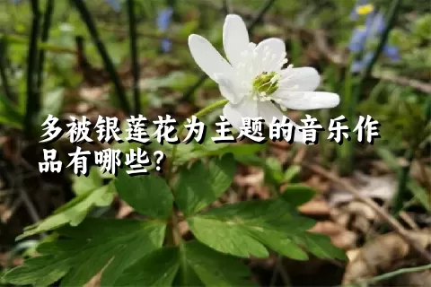 多被银莲花为主题的音乐作品有哪些？