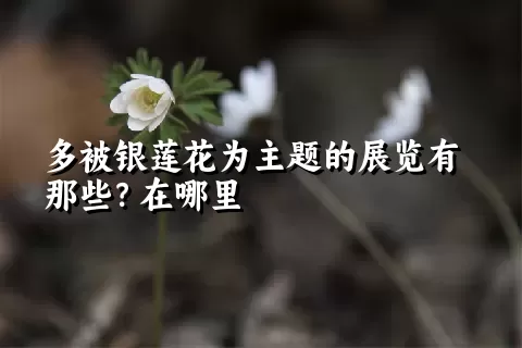 多被银莲花为主题的展览有那些？在哪里