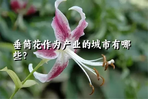 垂筒花作为产业的城市有哪些？