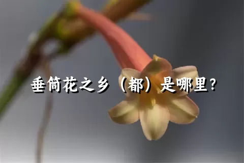 垂筒花之乡（都）是哪里？