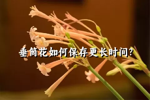 垂筒花如何保存更长时间？