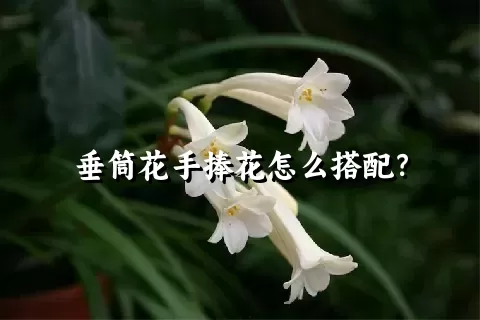 垂筒花手捧花怎么搭配？