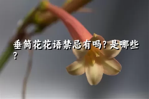 垂筒花花语禁忌有吗？是哪些？