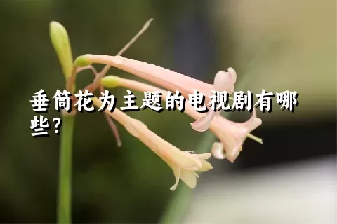 垂筒花为主题的电视剧有哪些？