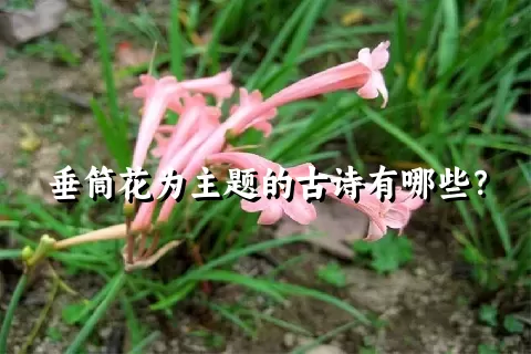 垂筒花为主题的古诗有哪些？