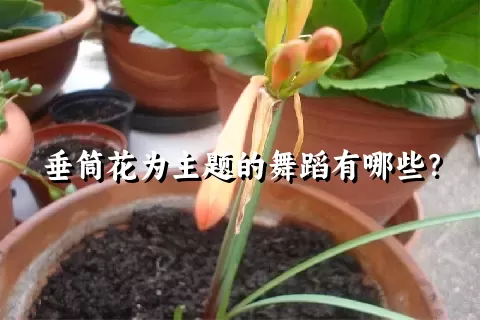 垂筒花为主题的舞蹈有哪些？