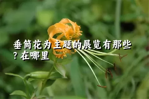 垂筒花为主题的展览有那些？在哪里