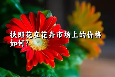 扶郎花在花卉市场上的价格如何？