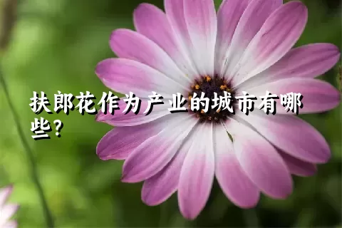 扶郎花作为产业的城市有哪些？