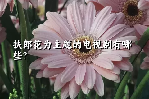 扶郎花为主题的电视剧有哪些？