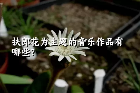 扶郎花为主题的音乐作品有哪些？